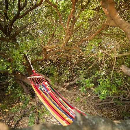 S'ena E Su Juncu * Loculi