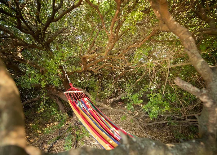 S'ena E Su Juncu Casa vacanze *