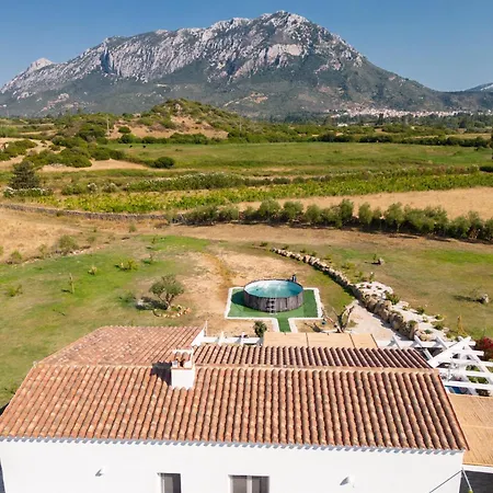 S'ena E Su Juncu * Loculi