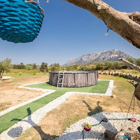 S'ena E Su Juncu Nyaraló *