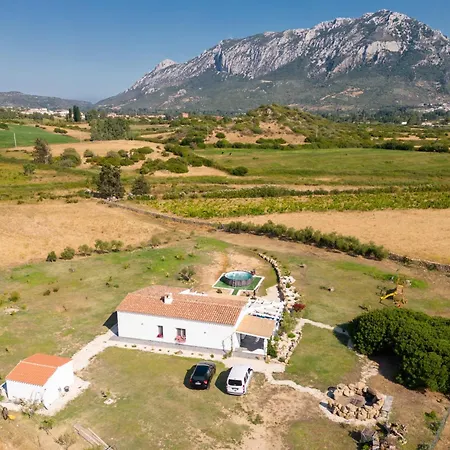 S'ena E Su Juncu * Loculi