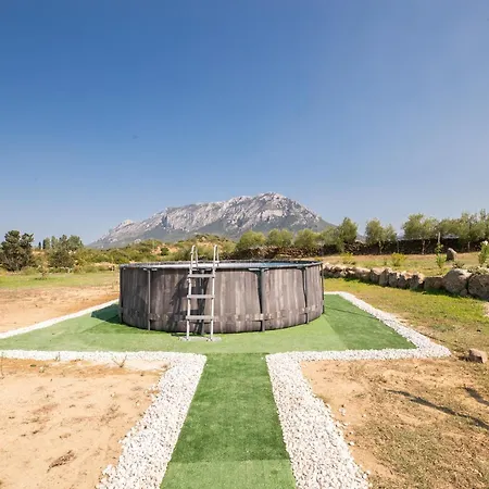 S'ena E Su Juncu Nyaraló *