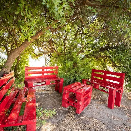 S'ena E Su Juncu Nyaraló *