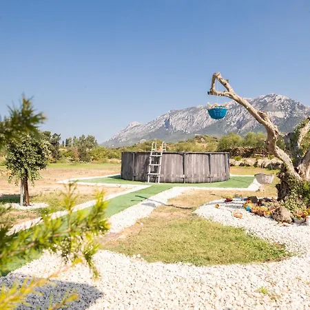 S'ena E Su Juncu Casa vacanze